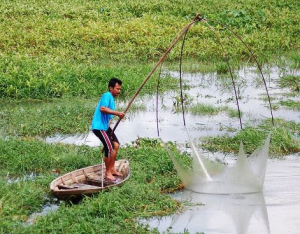 tembak ikan